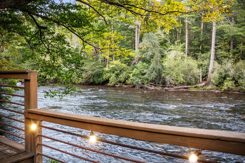 210 White Pine Acres Lane Blue Ridge, GA 30513 - Photo 93 of 94