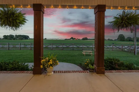 a view of a garden with a palm tree