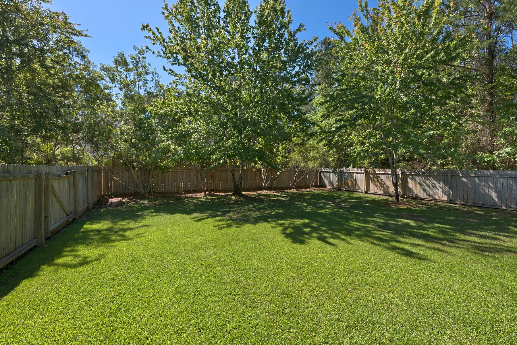 1170 East Nursery Road Santa Rosa Beach, FL 32459 - Photo 8 of 42 Back Yard