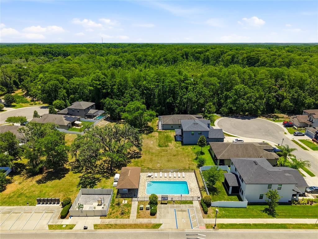 12307 Newt Court New Port Richey, FL 34654 - Photo 67 of 69