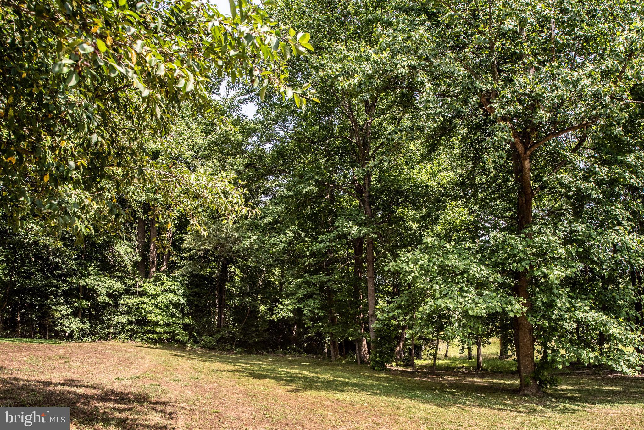 9137 Dahlgren Road King George, VA 22485 - Photo 20 of 77 Gallery Image 20