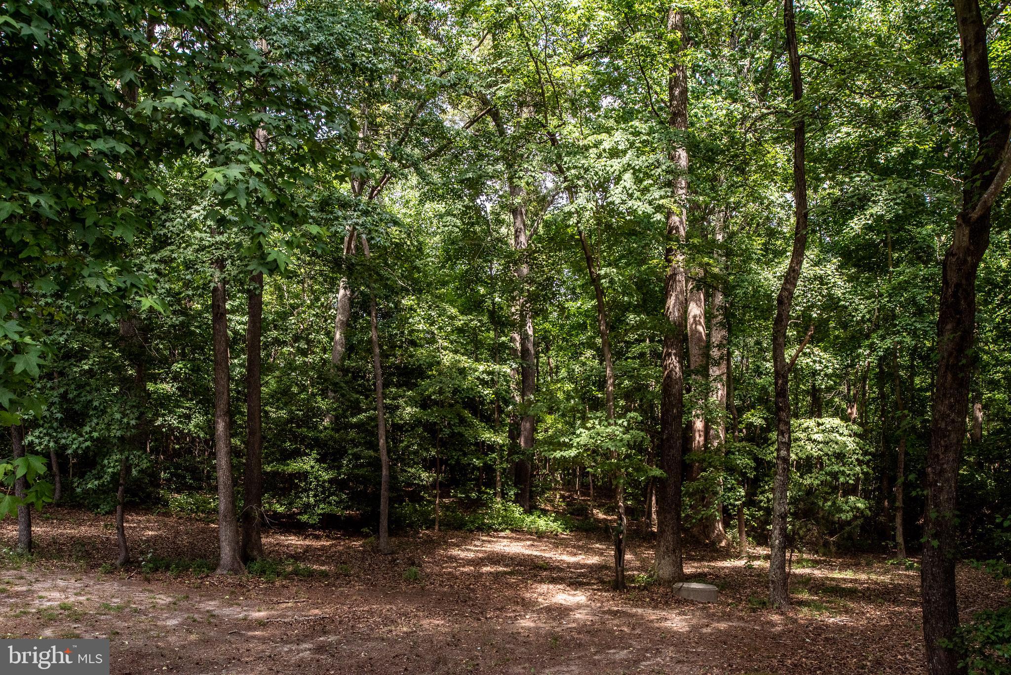 9137 Dahlgren Road King George, VA 22485 - Photo 24 of 77 Gallery Image 24
