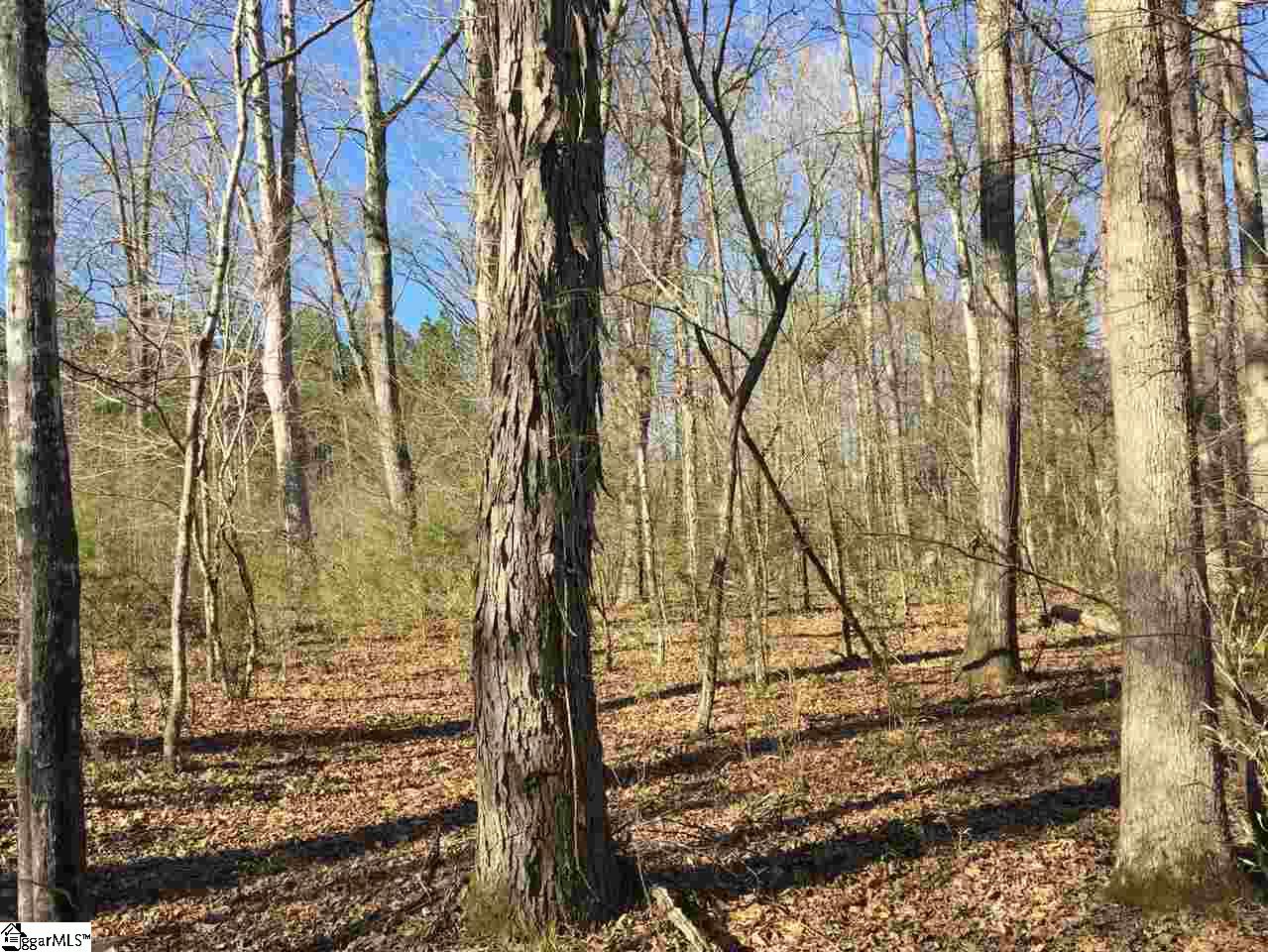 0 Sheppard Road Edgefield, SC 29824 - Photo 11 of 36
