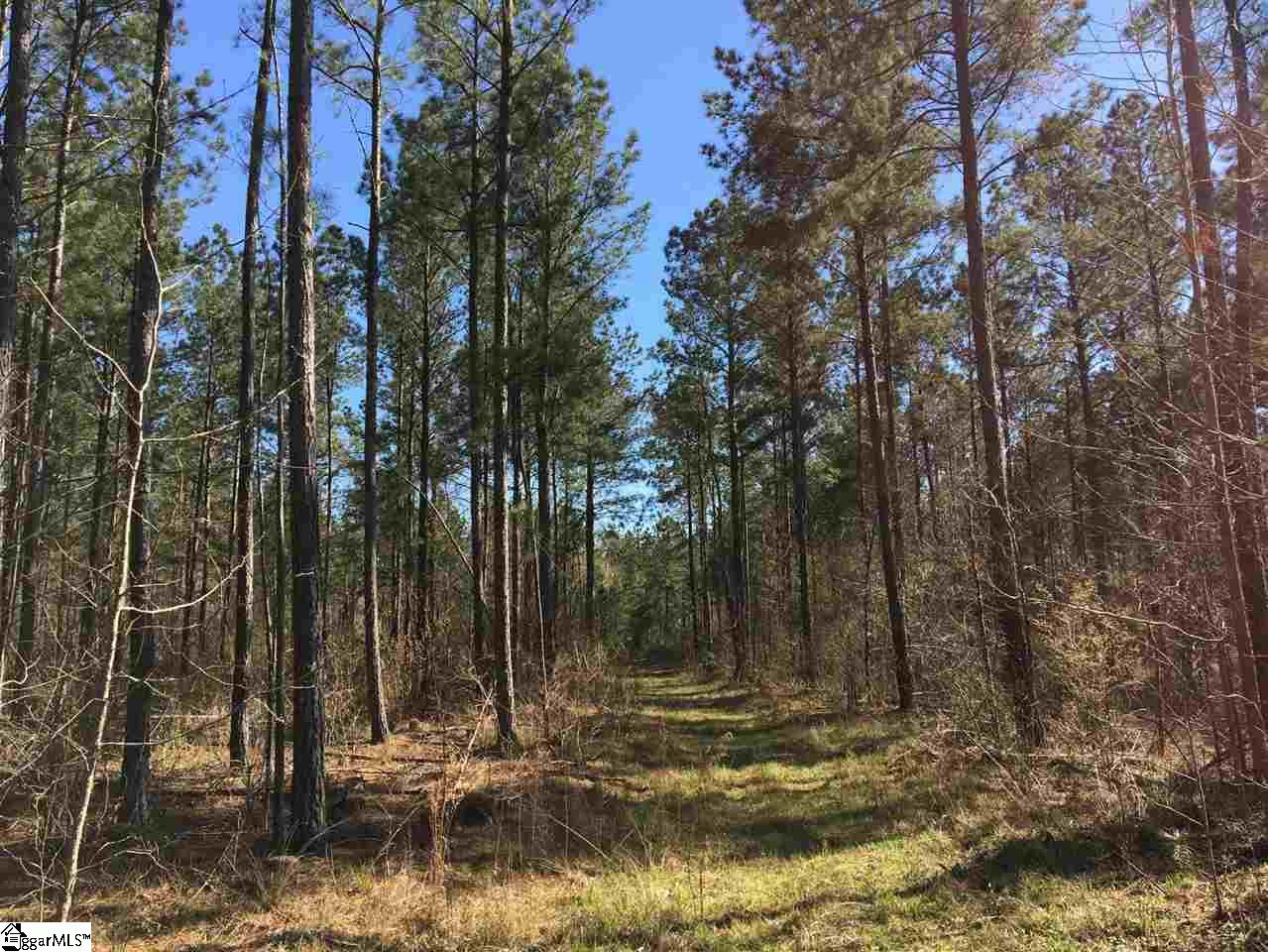 0 Sheppard Road Edgefield, SC 29824 - Photo 13 of 36
