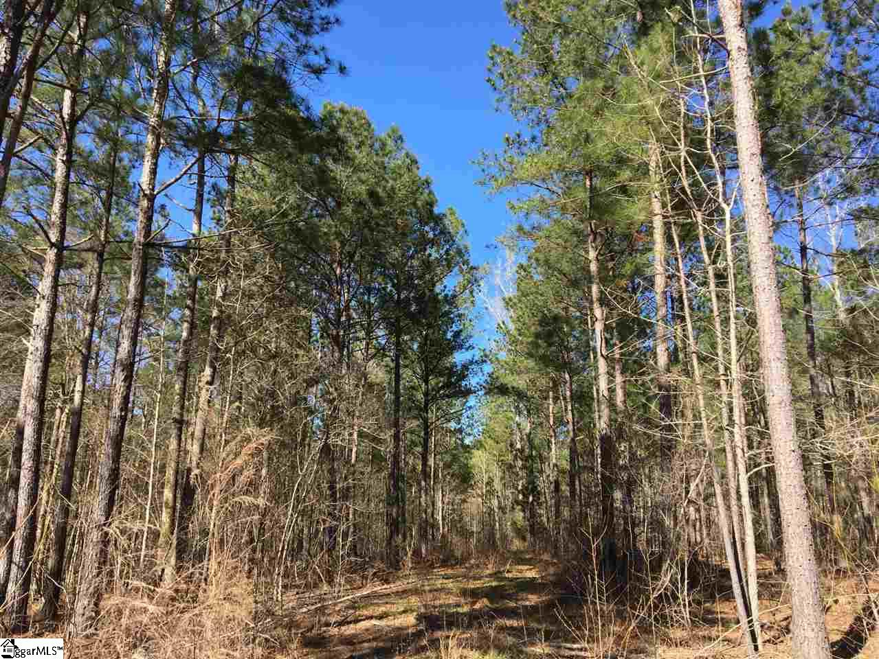 0 Sheppard Road Edgefield, SC 29824 - Photo 14 of 36