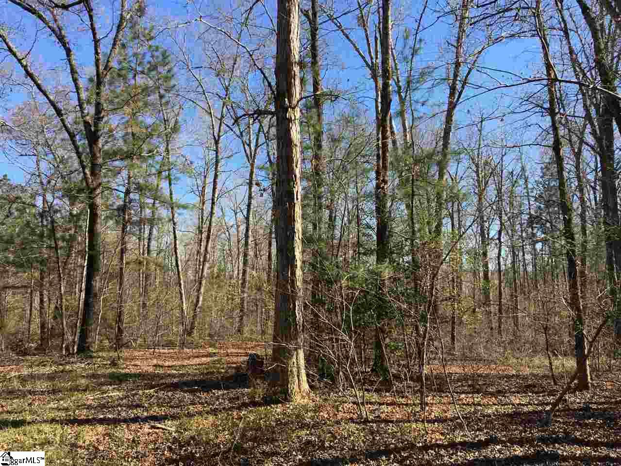 0 Sheppard Road Edgefield, SC 29824 - Photo 15 of 36