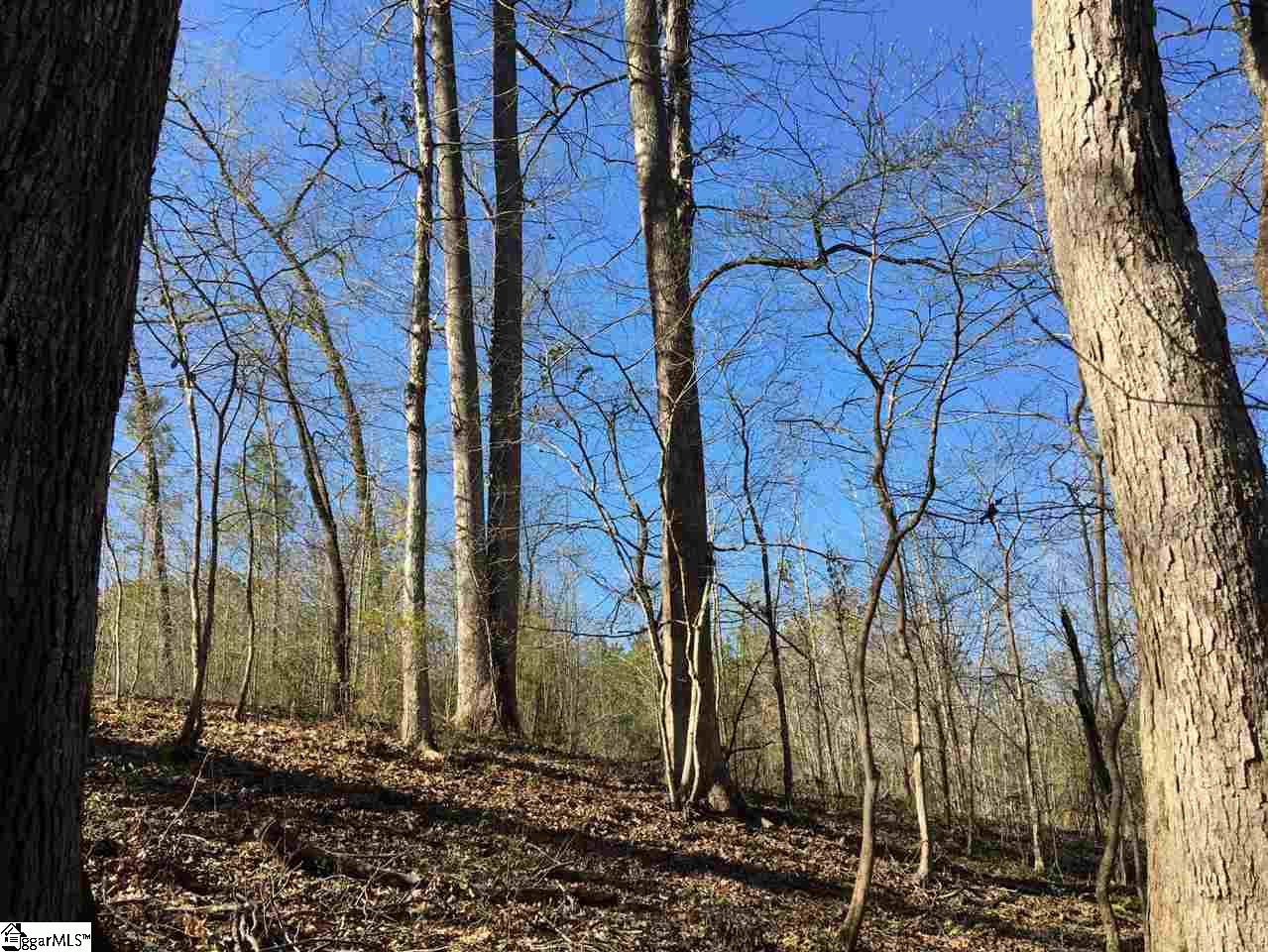 0 Sheppard Road Edgefield, SC 29824 - Photo 17 of 36