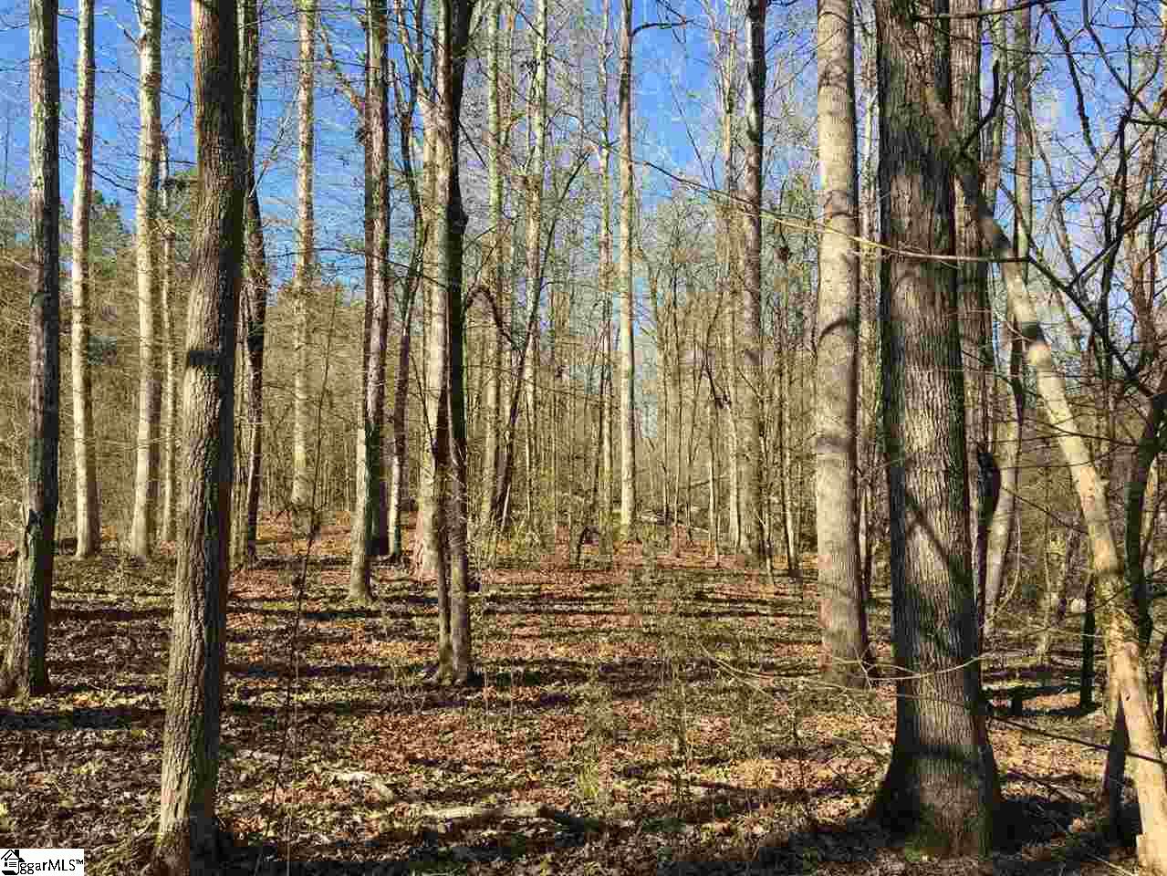 0 Sheppard Road Edgefield, SC 29824 - Photo 19 of 36