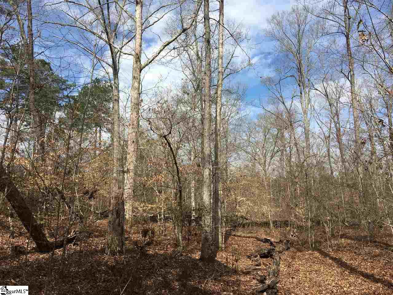 0 Sheppard Road Edgefield, SC 29824 - Photo 3 of 36