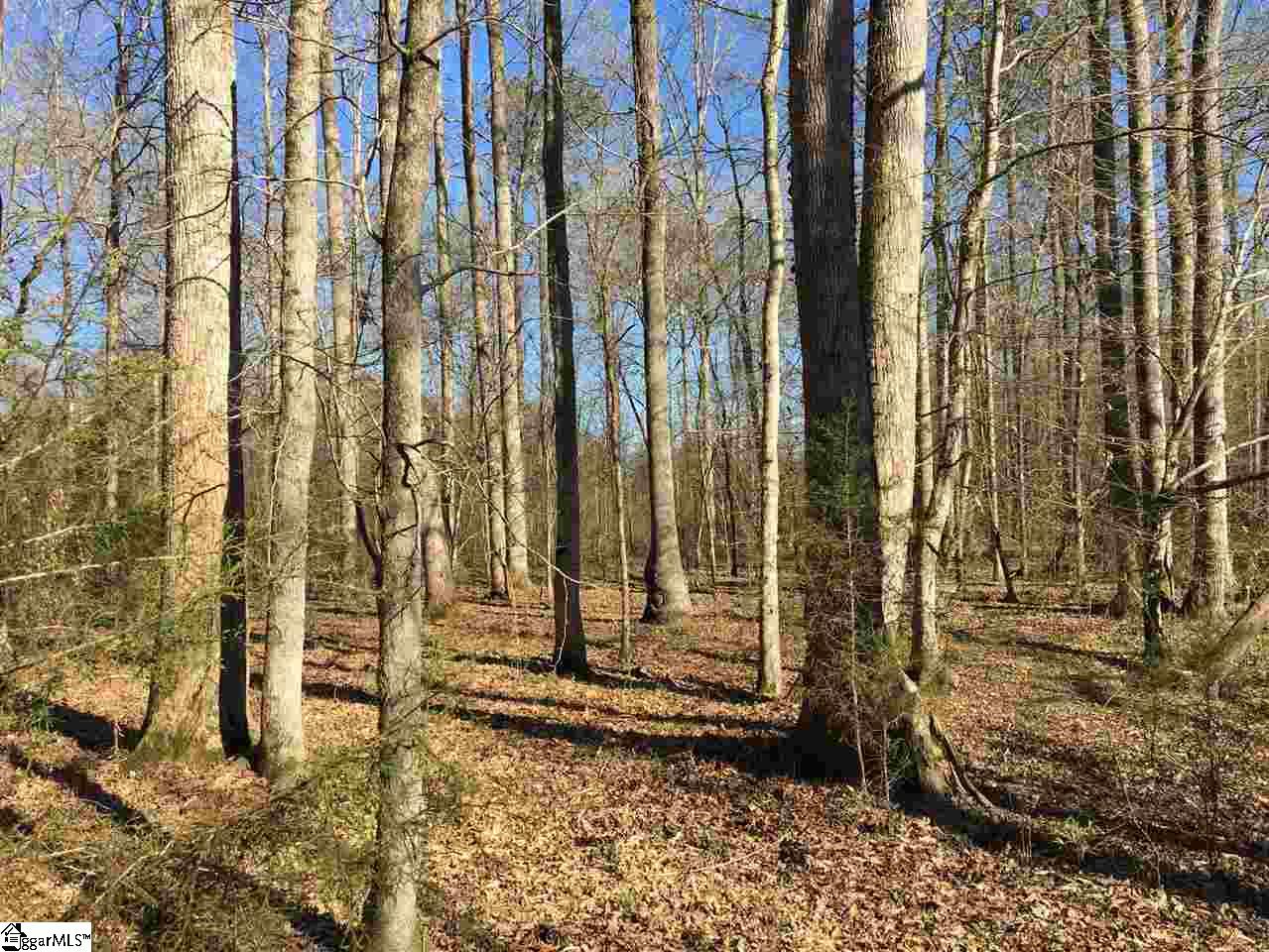 0 Sheppard Road Edgefield, SC 29824 - Photo 22 of 36