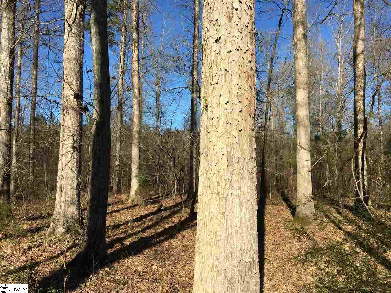 0 Sheppard Road Edgefield, SC 29824 - Photo 23 of 36