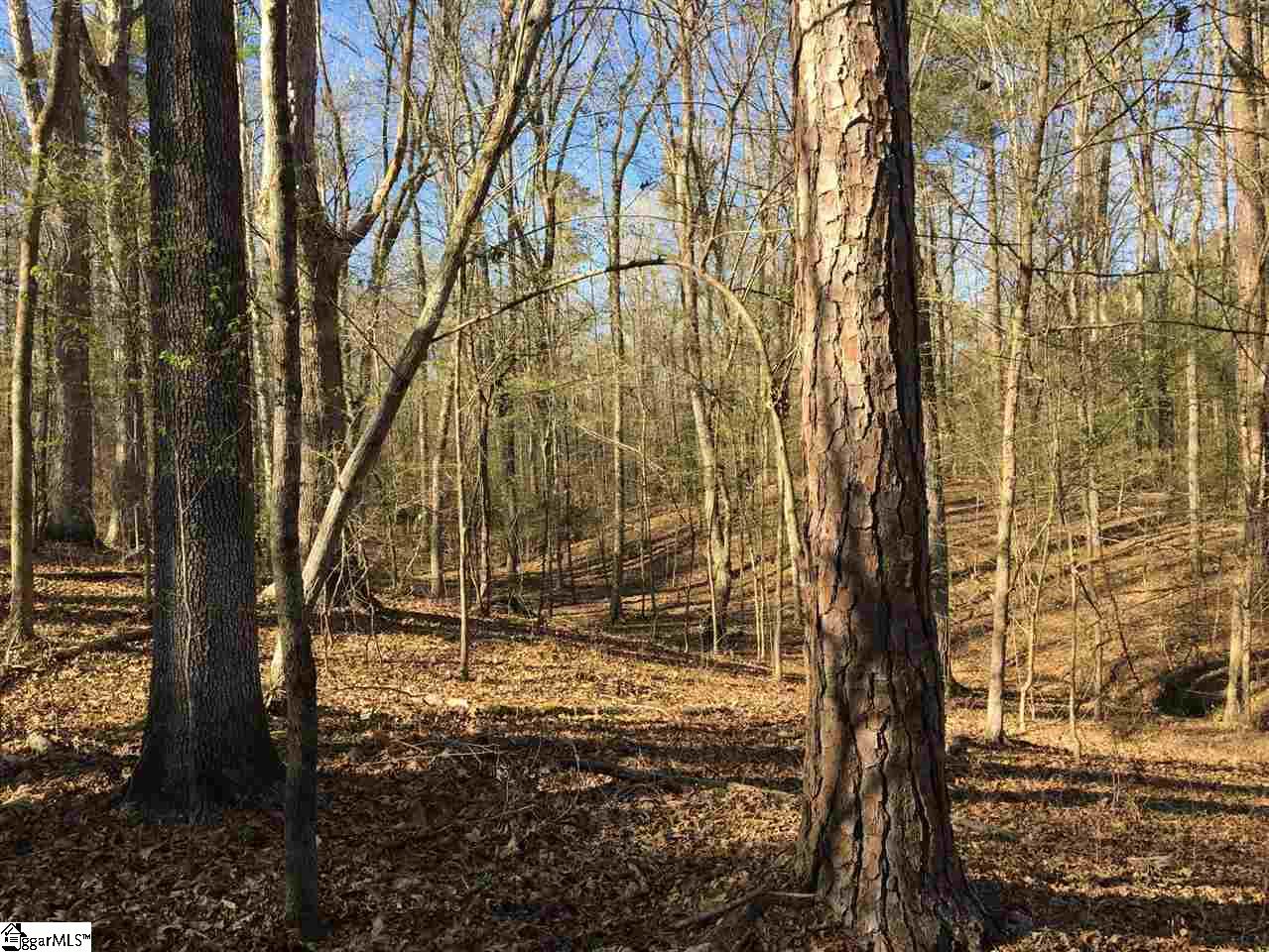 0 Sheppard Road Edgefield, SC 29824 - Photo 27 of 36