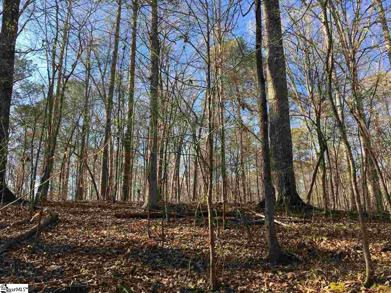 0 Sheppard Road Edgefield, SC 29824 - Photo 28 of 36