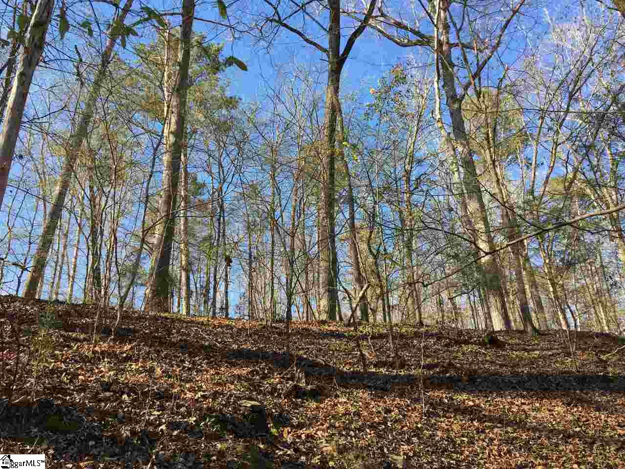 0 Sheppard Road Edgefield, SC 29824 - Photo 32 of 36