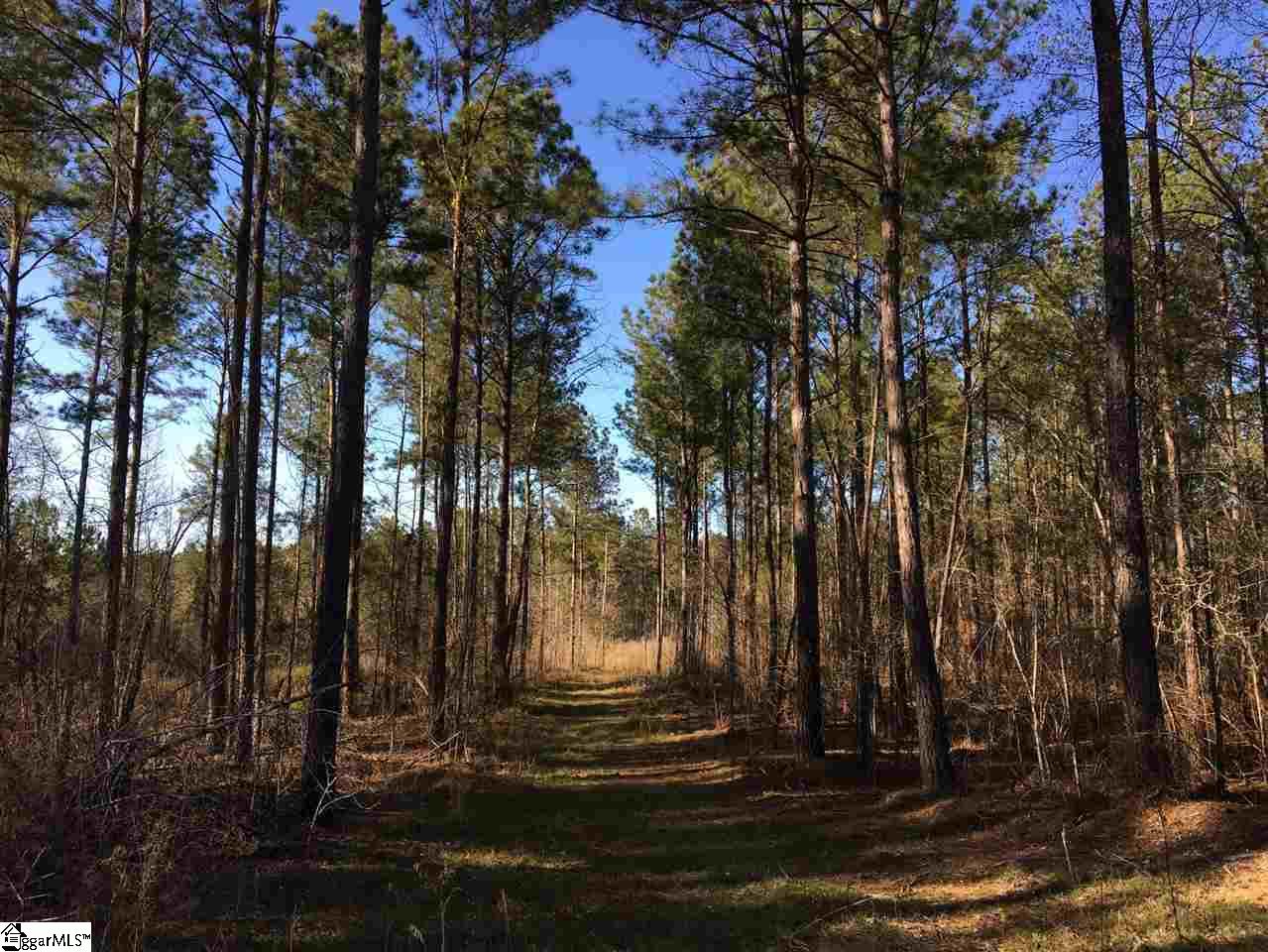 0 Sheppard Road Edgefield, SC 29824 - Photo 33 of 36