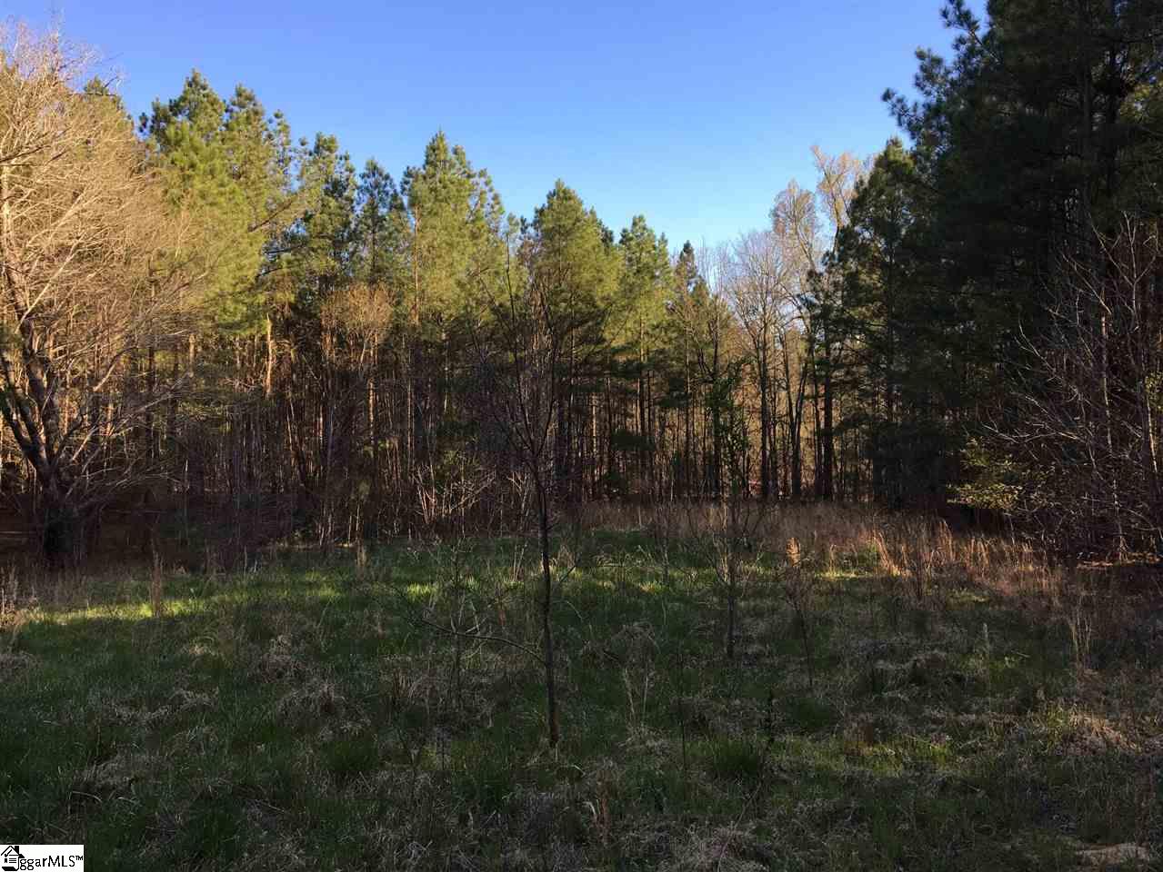 0 Sheppard Road Edgefield, SC 29824 - Photo 35 of 36