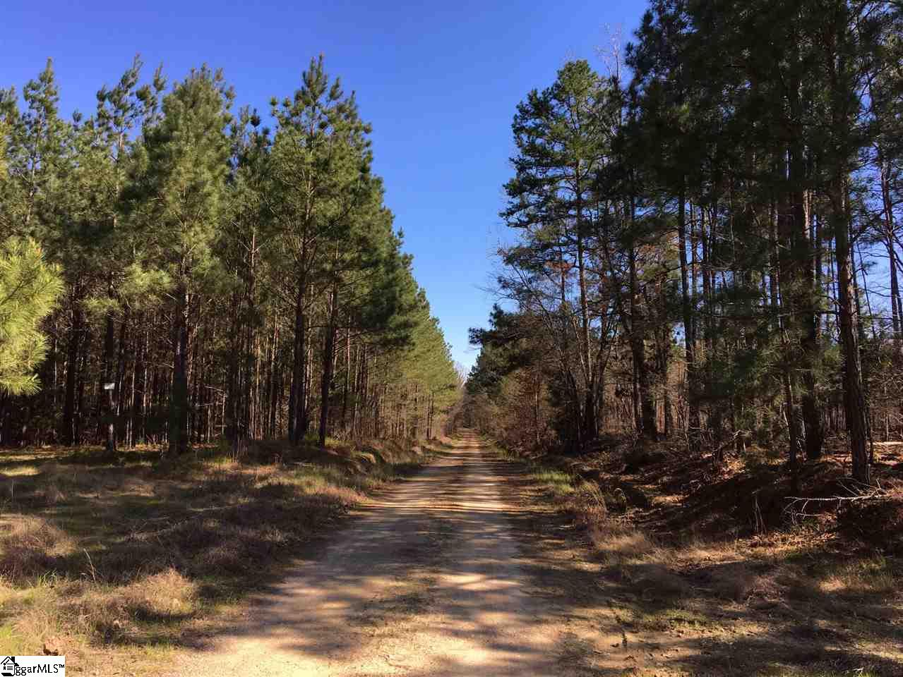 0 Sheppard Road Edgefield, SC 29824 - Photo 5 of 36