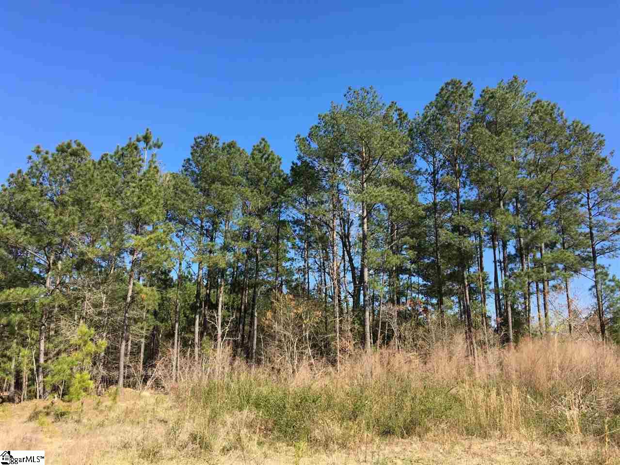 0 Sheppard Road Edgefield, SC 29824 - Photo 6 of 36
