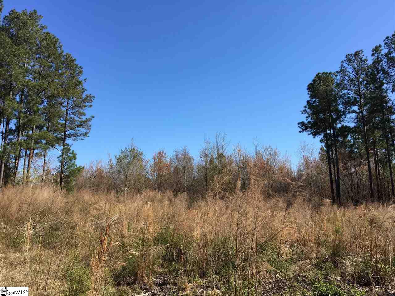 0 Sheppard Road Edgefield, SC 29824 - Photo 7 of 36