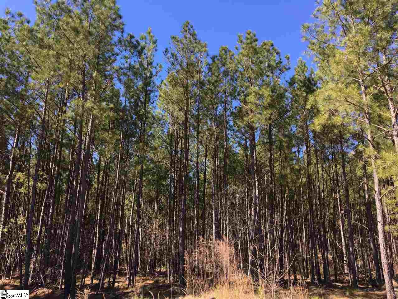0 Sheppard Road Edgefield, SC 29824 - Photo 8 of 36