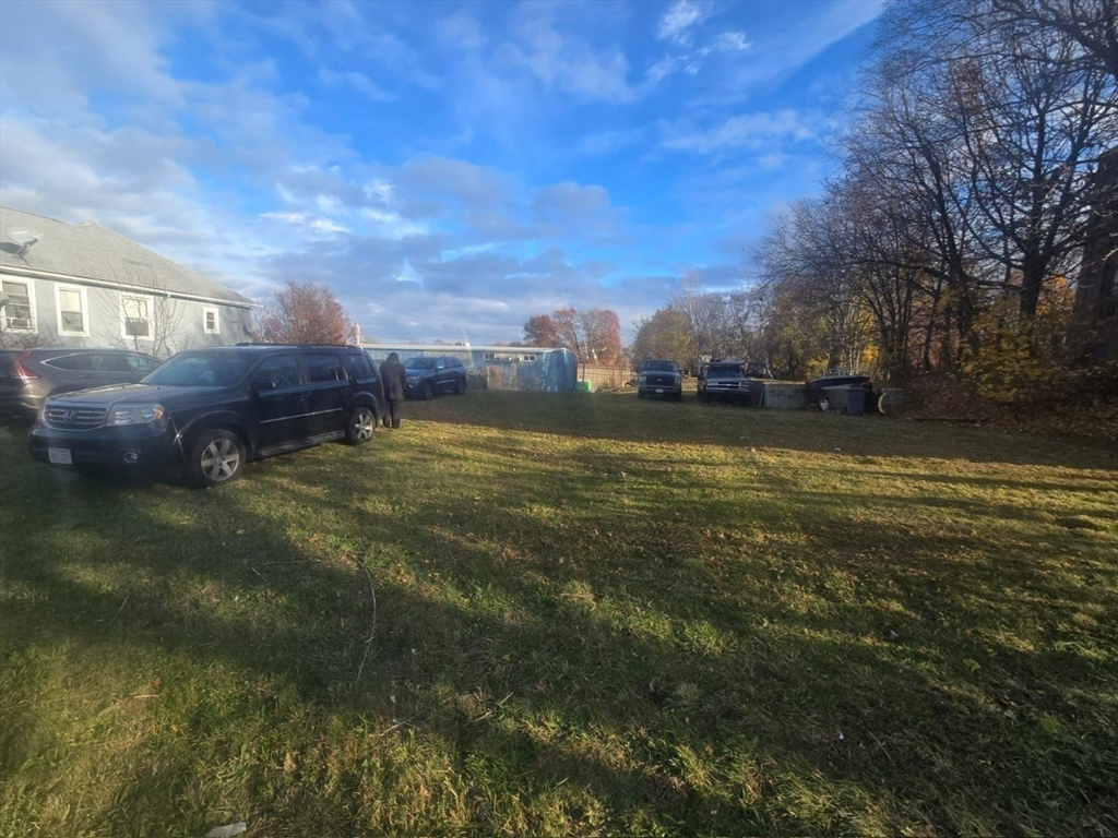 51 Ceylon Street Boston, MA 02121 - Photo 16 of 18 a view of a big yard with large trees