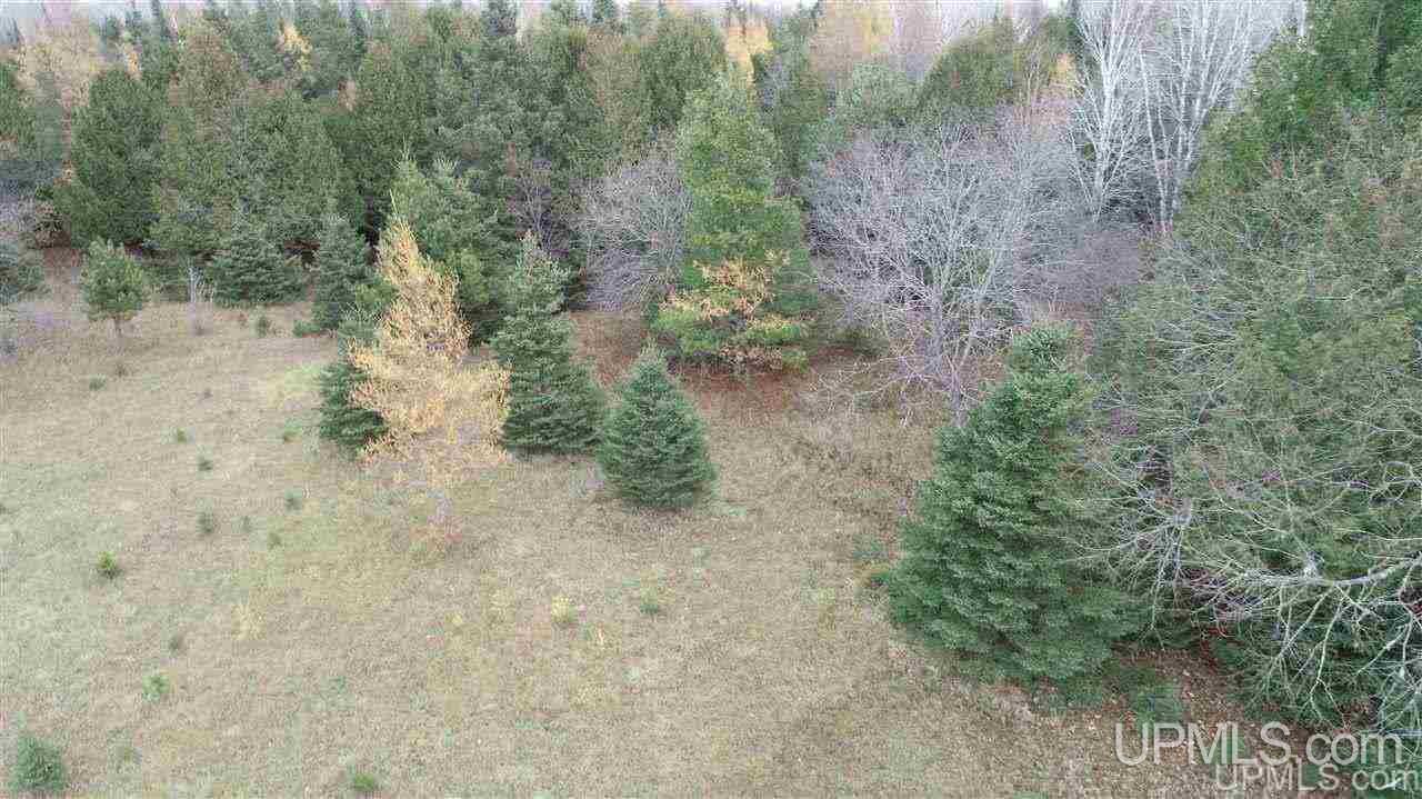 Tbd North Kendall Road Manistique, MI 49854 - Photo 14 of 17 Gallery Image 14