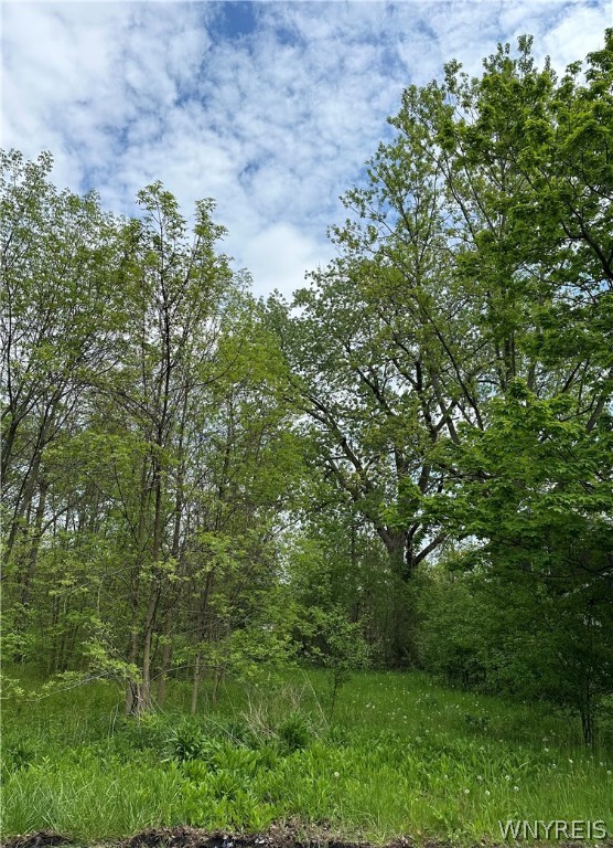 0 Sy Road Niagara Falls, NY 14304 - Photo 2 of 3