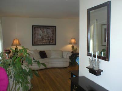 1010 Renaldi Road Wind Gap, PA 18091 - Photo 3 of 11 a living room with furniture and a potted plant