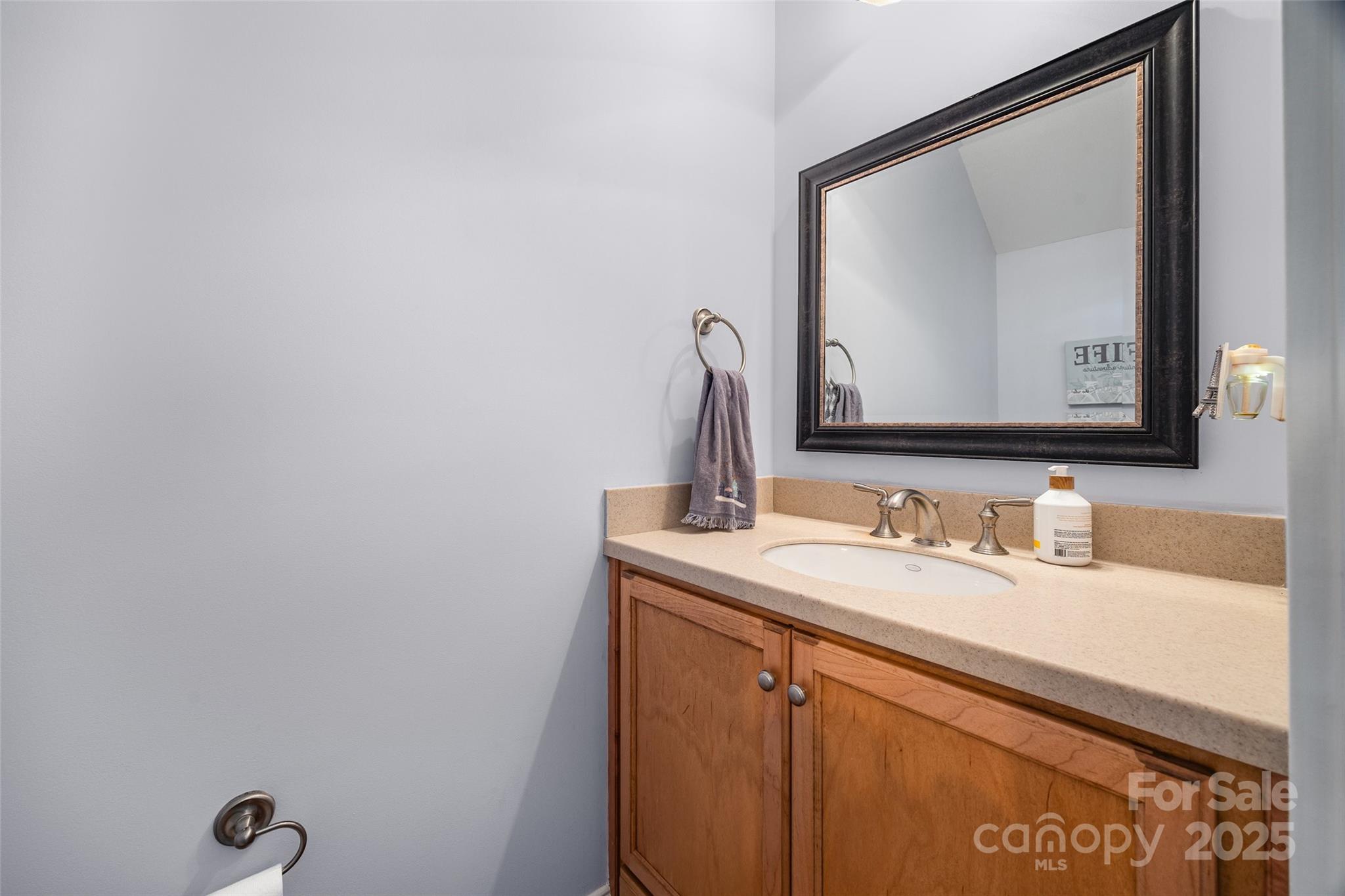 321 Landers Way Belmont, NC 28012 - Photo 11 of 26 a bathroom with a sink and a mirror