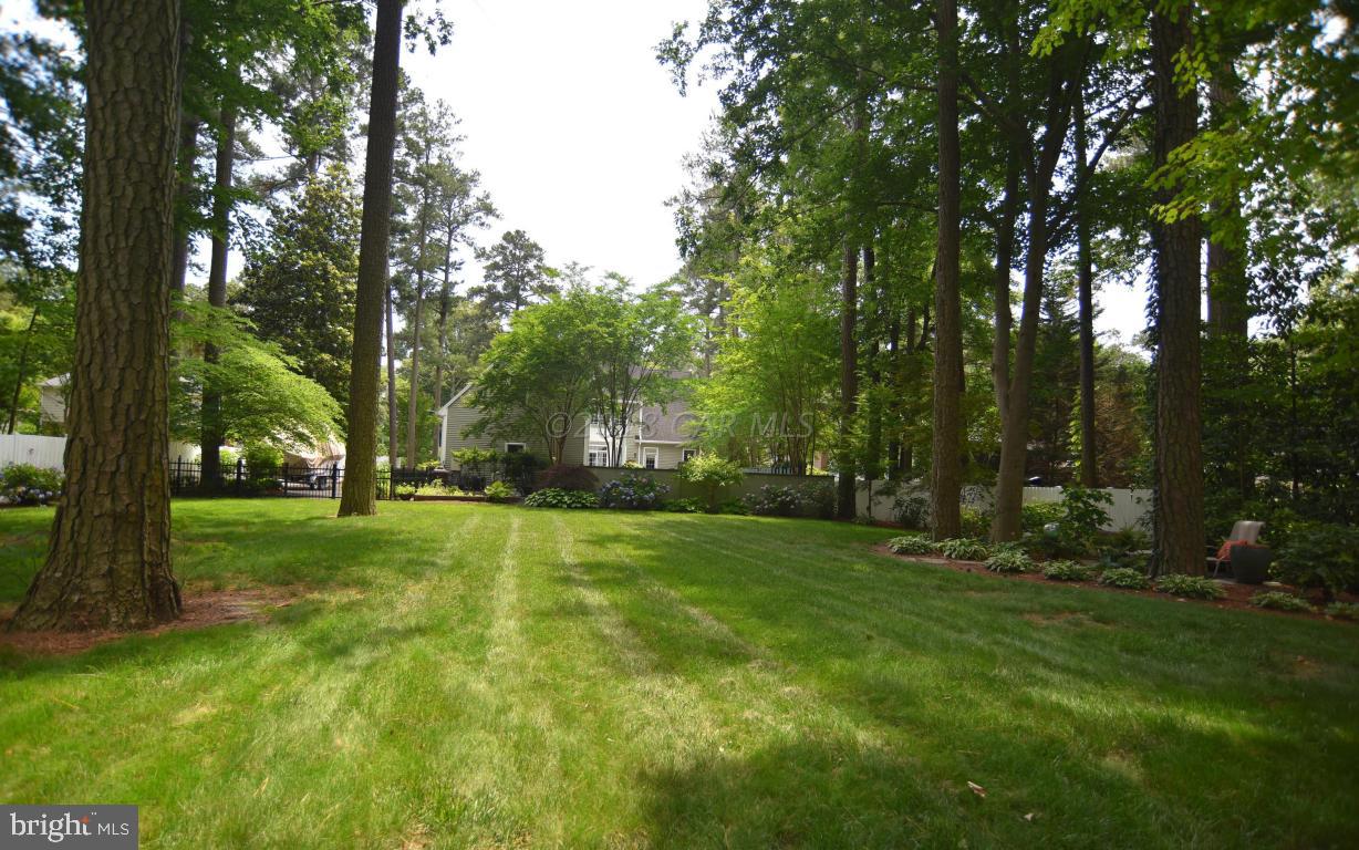 617 Douglas Road Salisbury, MD 21801 - Photo 3 of 48 Large Back Yard