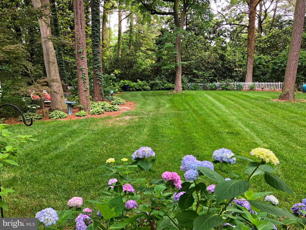 617 Douglas Road Salisbury, MD 21801 - Photo 40 of 48 Back Yard