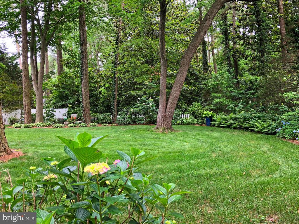 617 Douglas Road Salisbury, MD 21801 - Photo 42 of 48 Backyard