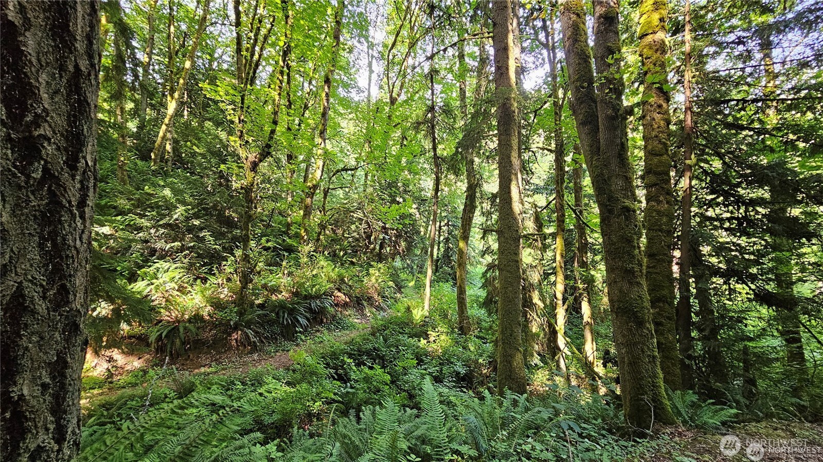 210-xx Pugh Road Northeast Poulsbo, WA 98370 - Photo 11 of 32