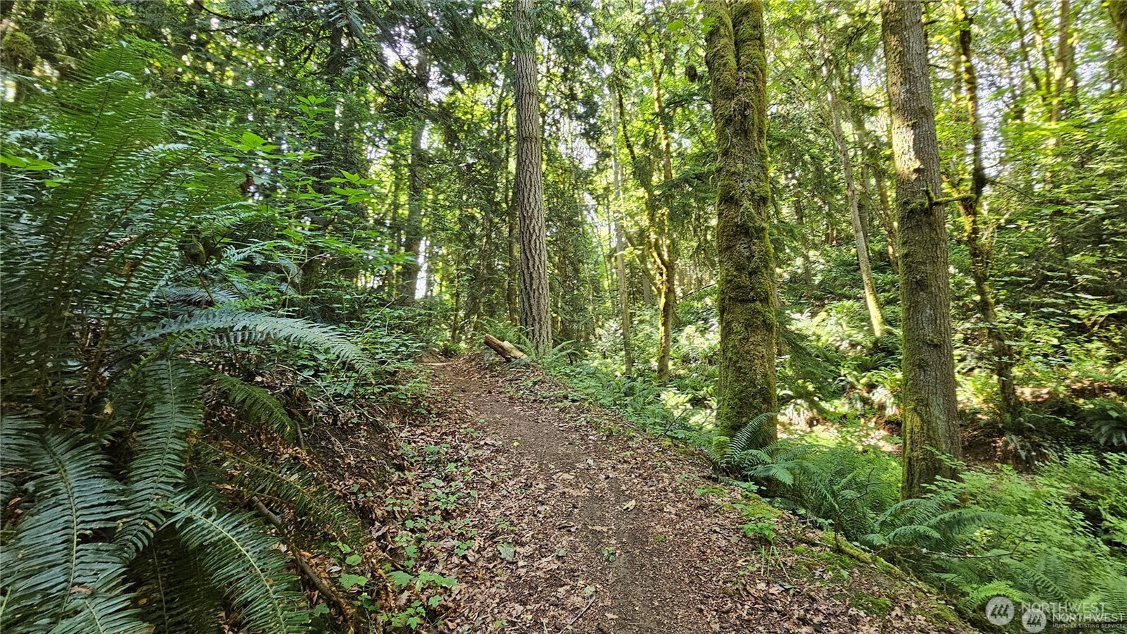 210-xx Pugh Road Northeast Poulsbo, WA 98370 - Photo 12 of 32