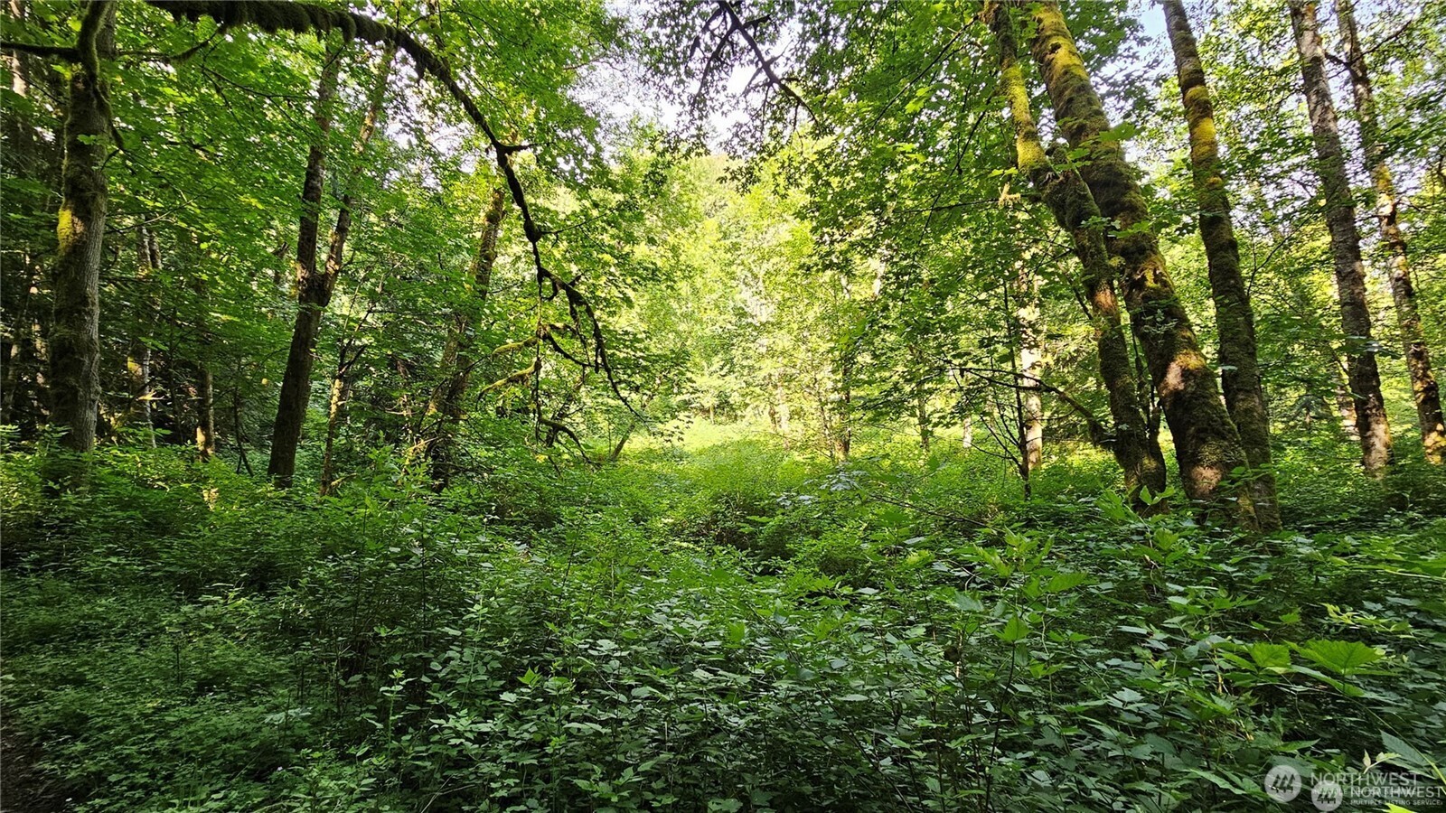 210-xx Pugh Road Northeast Poulsbo, WA 98370 - Photo 13 of 32