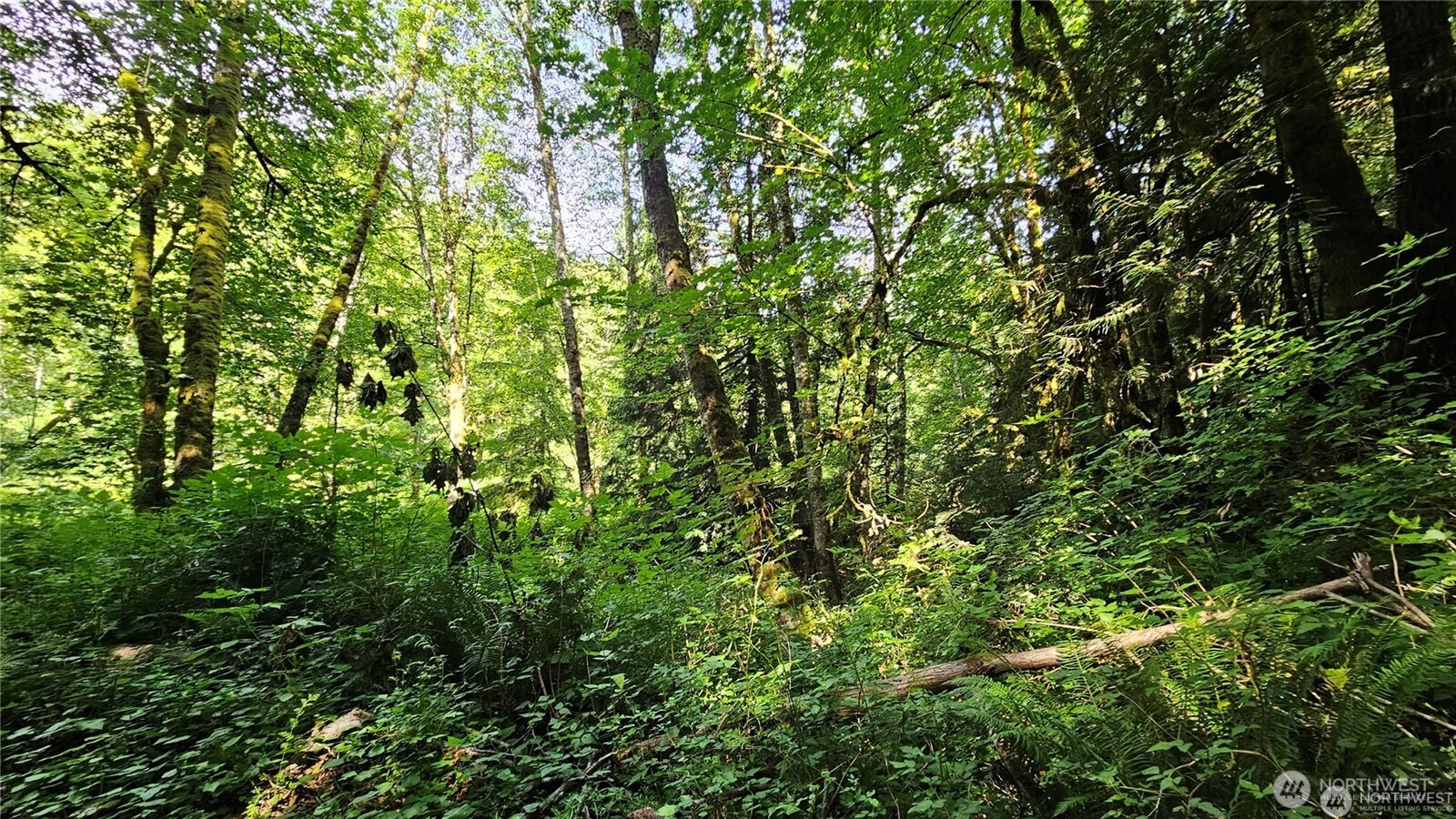 210-xx Pugh Road Northeast Poulsbo, WA 98370 - Photo 14 of 32