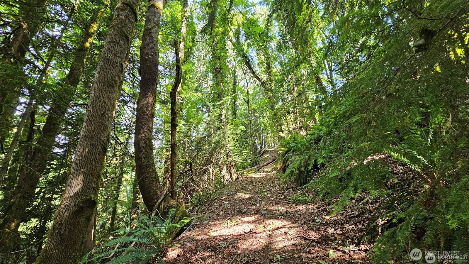 210-xx Pugh Road Northeast Poulsbo, WA 98370 - Photo 15 of 32