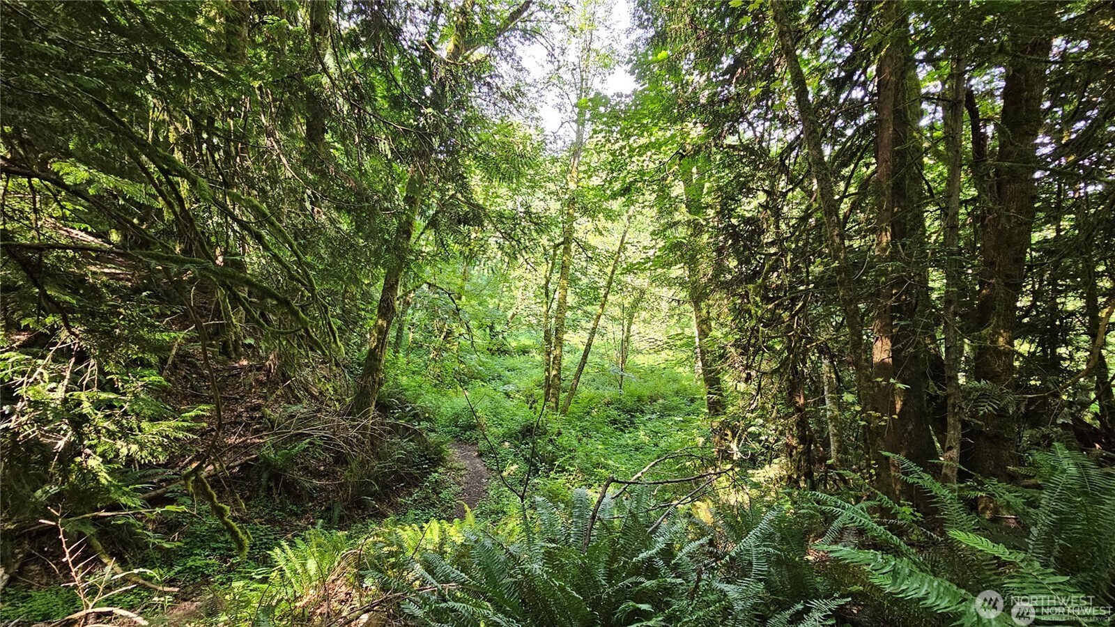 210-xx Pugh Road Northeast Poulsbo, WA 98370 - Photo 16 of 32