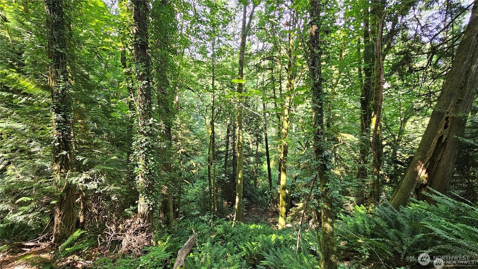 210-xx Pugh Road Northeast Poulsbo, WA 98370 - Photo 17 of 32