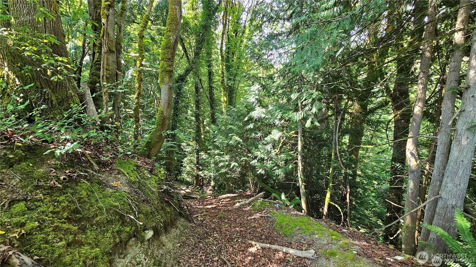 210-xx Pugh Road Northeast Poulsbo, WA 98370 - Photo 18 of 32