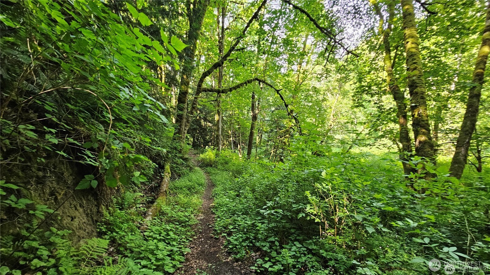 210-xx Pugh Road Northeast Poulsbo, WA 98370 - Photo 19 of 32