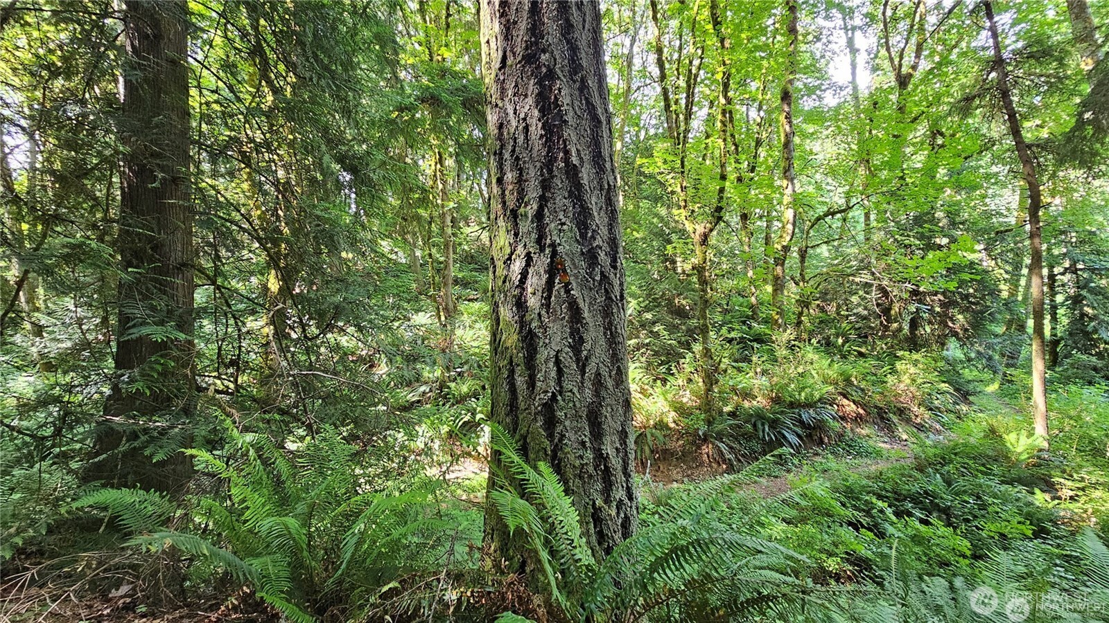 210-xx Pugh Road Northeast Poulsbo, WA 98370 - Photo 20 of 32