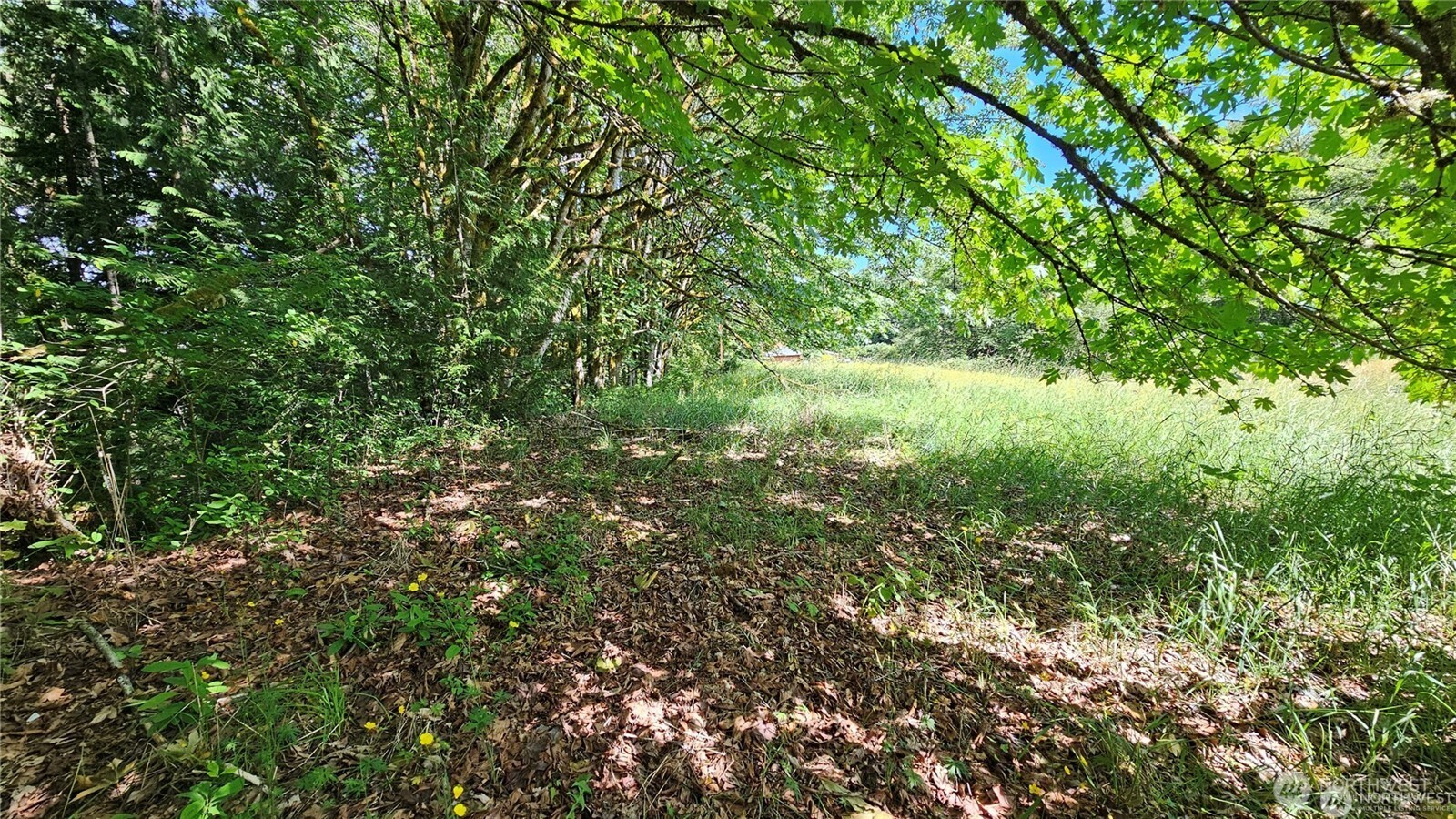 210-xx Pugh Road Northeast Poulsbo, WA 98370 - Photo 22 of 32