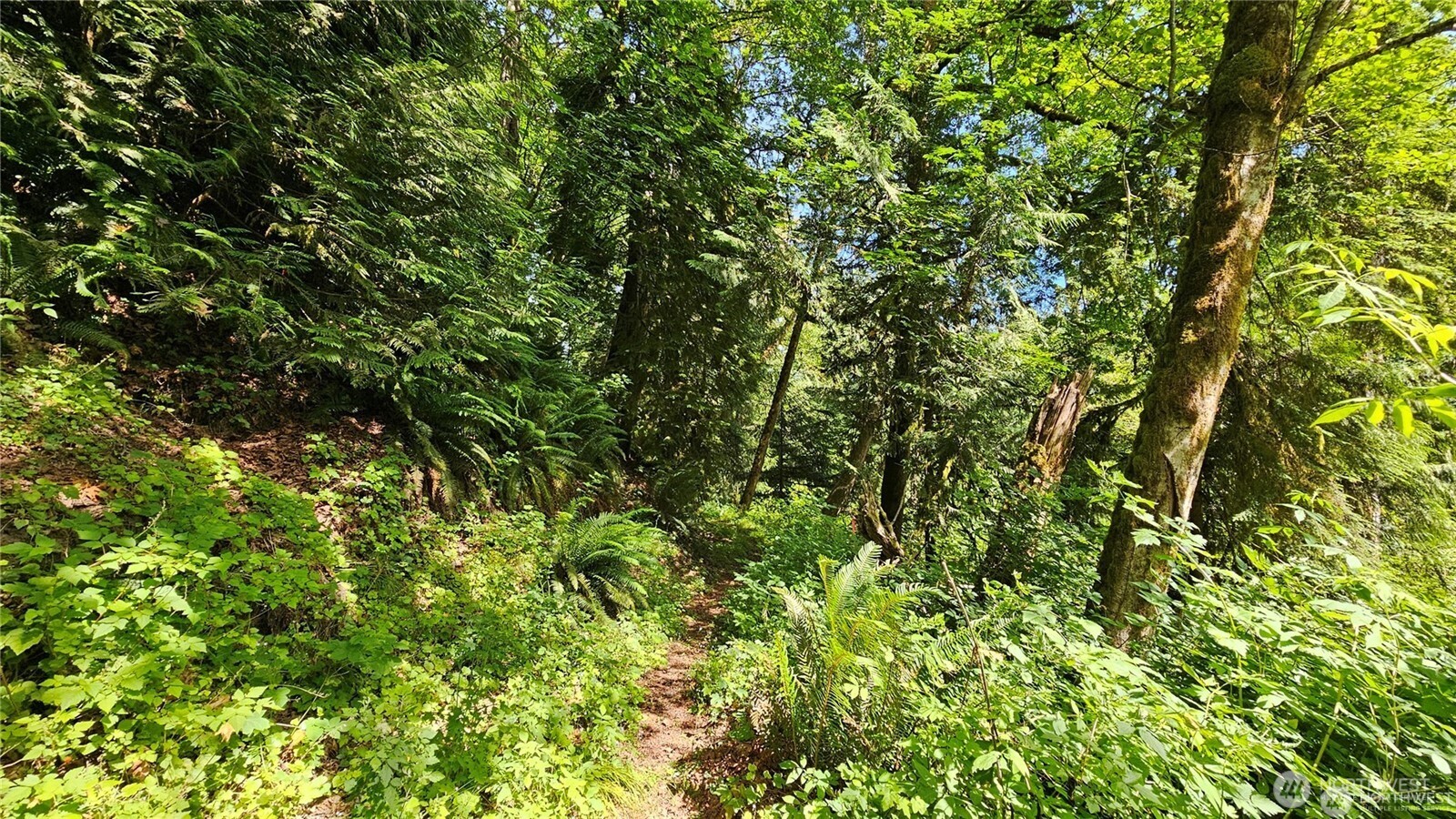 210-xx Pugh Road Northeast Poulsbo, WA 98370 - Photo 5 of 32