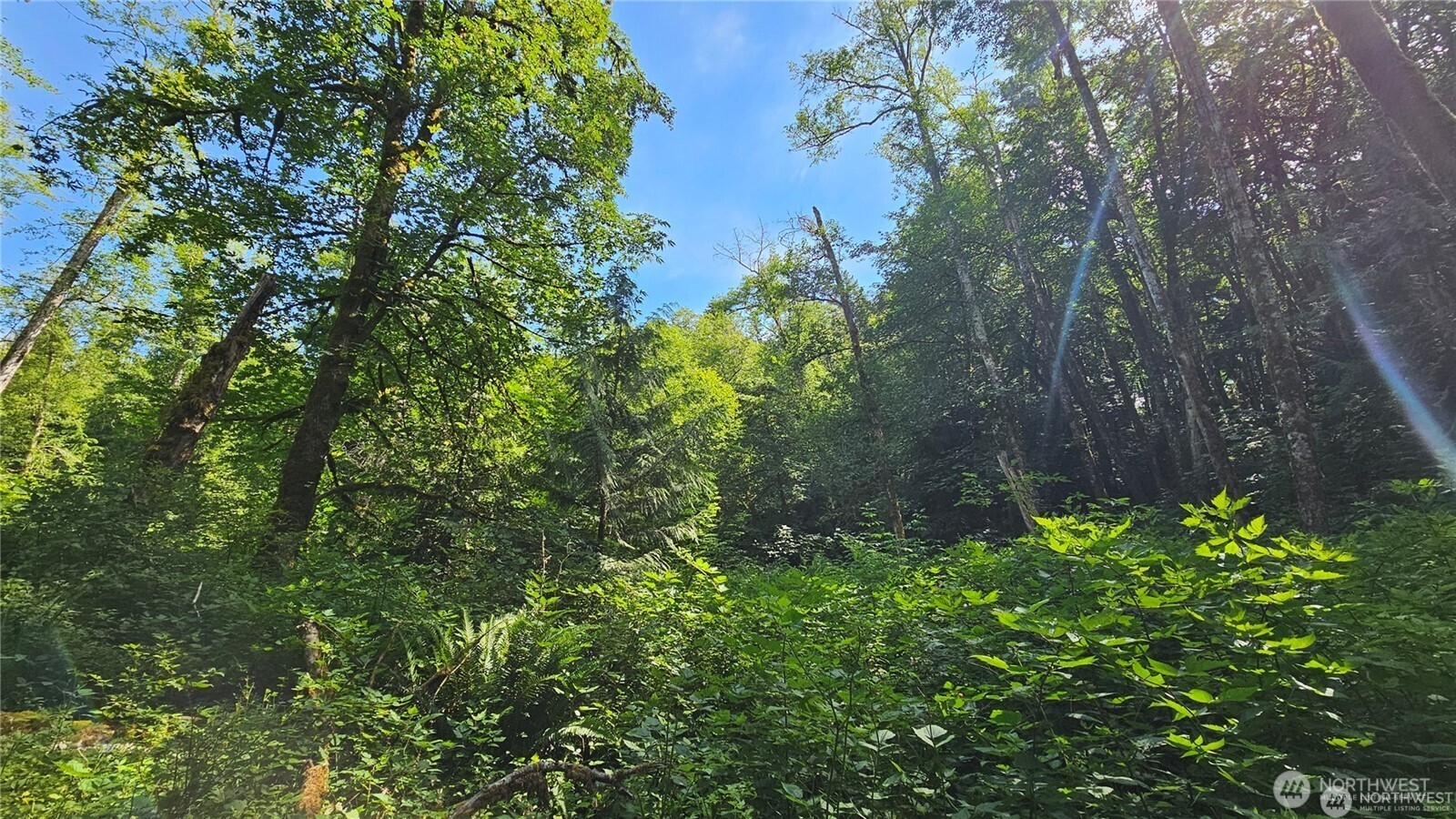 210-xx Pugh Road Northeast Poulsbo, WA 98370 - Photo 6 of 32