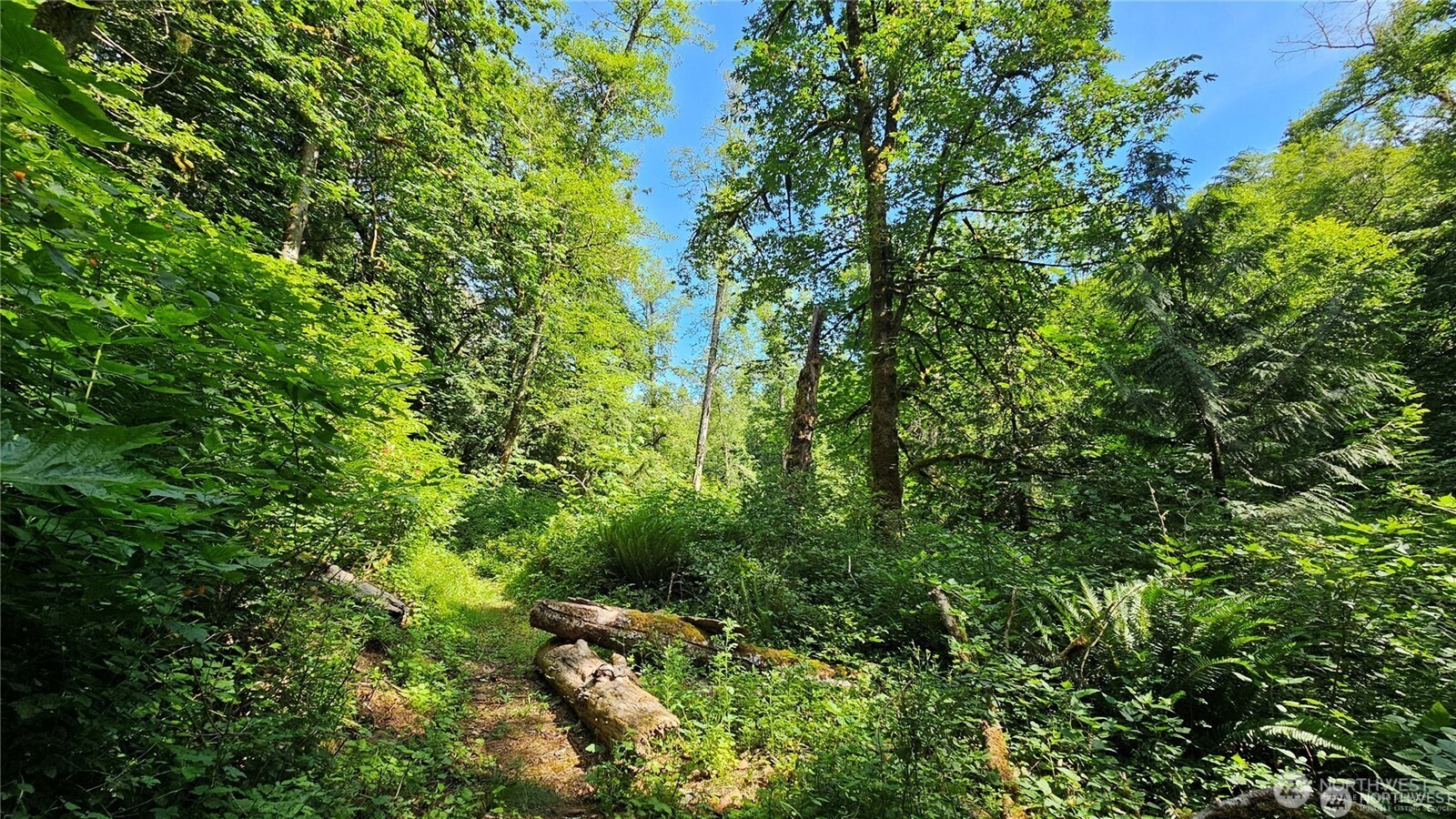 210-xx Pugh Road Northeast Poulsbo, WA 98370 - Photo 7 of 32