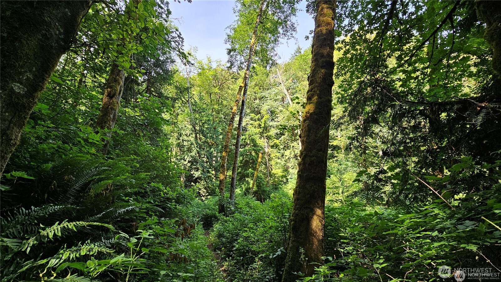 210-xx Pugh Road Northeast Poulsbo, WA 98370 - Photo 10 of 32