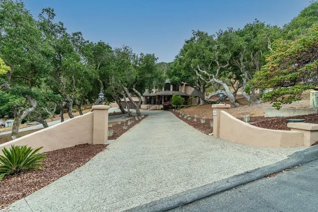 a tree in the middle of a yard