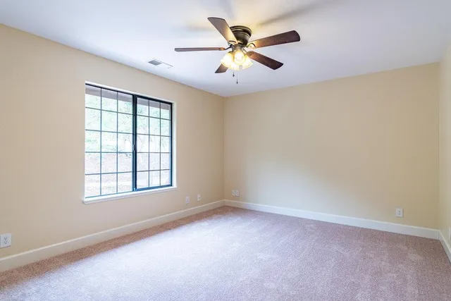 a view of a yard with plants and a bench