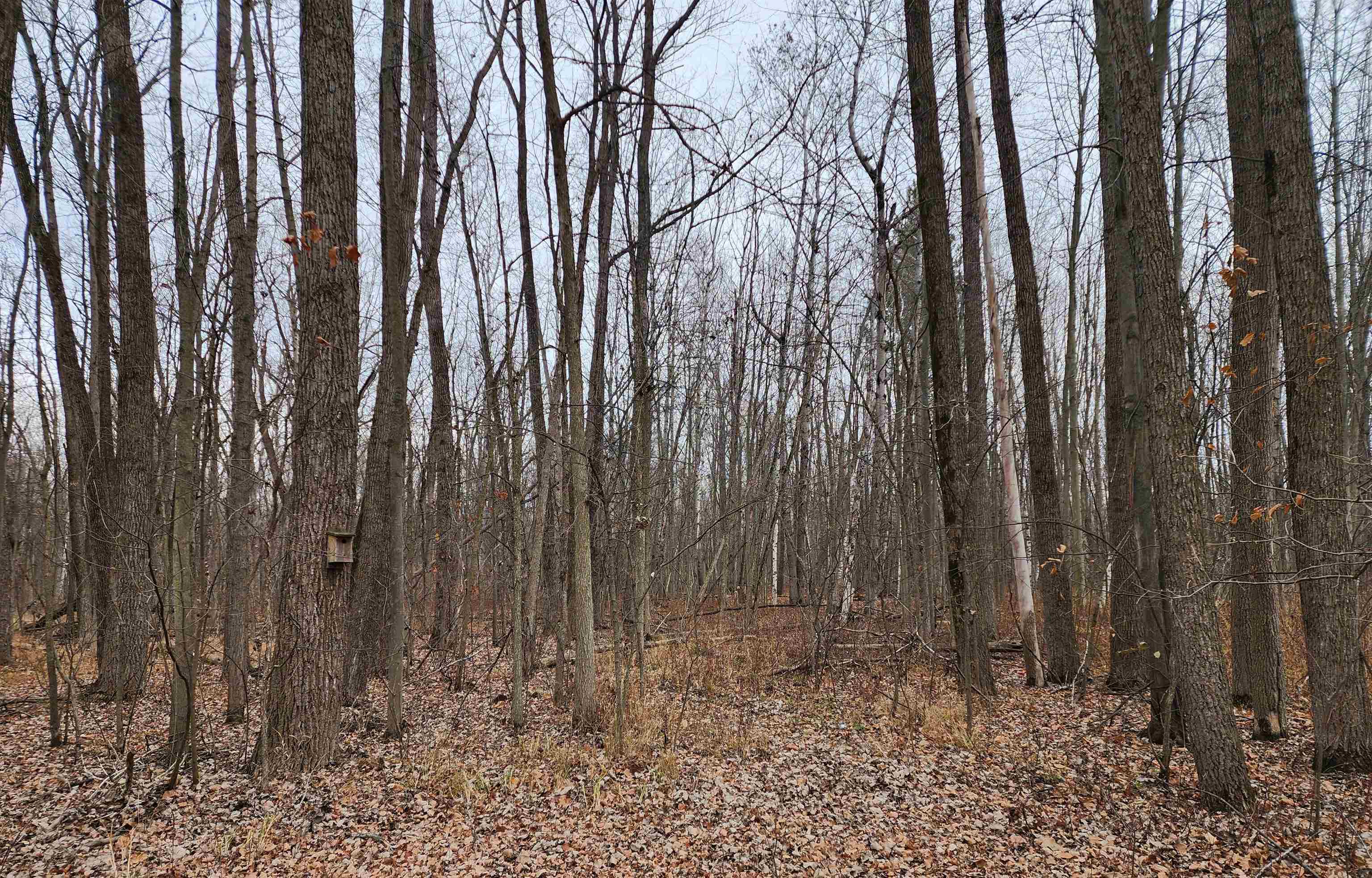3400 North Sturgeon Road Midland, MI 48642 - Photo 12 of 65
